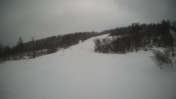 Красія 23 січня 2022 року, 2022-01-23 13:00