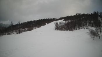 Красія 23 січня 2022 року, 2022-01-23 16:00
