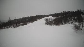 Красія 25 січня 2022 року, 2022-01-25 10:00