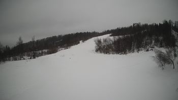 Красія 25 січня 2022 року, 2022-01-25 13:00