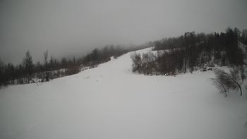 Красія 25 січня 2022 року, 2022-01-25 16:00