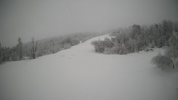 Красія 28 січня 2022 року, 2022-01-28 10:00