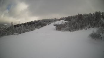 Красія 29 січня 2022 року, 2022-01-29 13:00