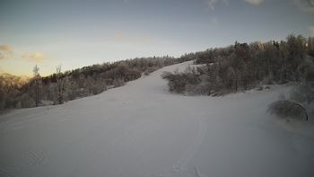 Красія 29 січня 2022 року, 2022-01-29 16:00