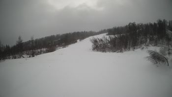 Красія 31 січня 2022 року, 2022-01-31 10:00