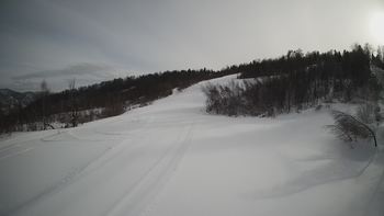 Красія 31 січня 2022 року, 2022-01-31 13:00