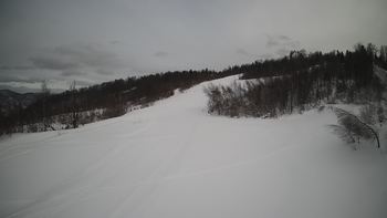 Красія 31 січня 2022 року, 2022-01-31 16:00