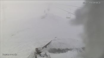 Захар Беркут 8 березня 2018 року, 2018-03-08 10:00