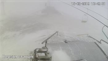 Захар Беркут 15 березня 2019 року, 2019-03-15 10:00