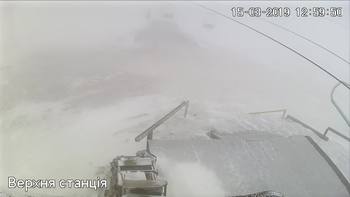 Захар Беркут 15 березня 2019 року, 2019-03-15 13:00