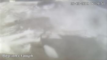 Захар Беркут 26 березня 2019 року, 2019-03-26 16:00