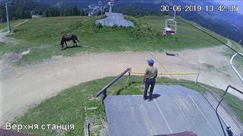 Захар Беркут 30 червня 2019 року, 2019-06-30 13:00