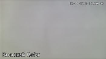 Захар Беркут 30 листопада 2019 року, 2019-11-30 16:00