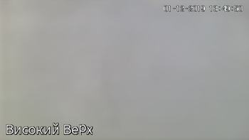 Захар Беркут 1 грудня 2019 року, 2019-12-01 13:00