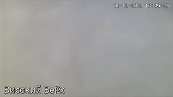 Захар Беркут 1 грудня 2019 року, 2019-12-01 16:00