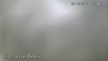 Захар Беркут 8 грудня 2019 року, 2019-12-08 13:00