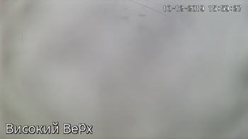 Захар Беркут 10 грудня 2019 року, 2019-12-10 16:00