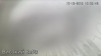 Захар Беркут 15 грудня 2019 року, 2019-12-15 10:00