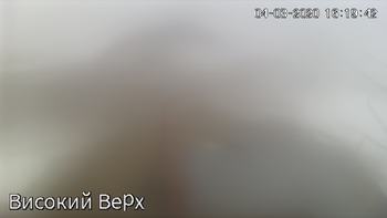 Захар Беркут 4 березня 2020 року, 2020-03-04 16:00
