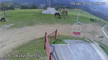 Захар Беркут 5 червня 2020 року, 2020-06-05 16:00