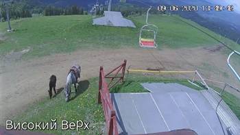 Захар Беркут 9 червня 2020 року, 2020-06-09 13:00