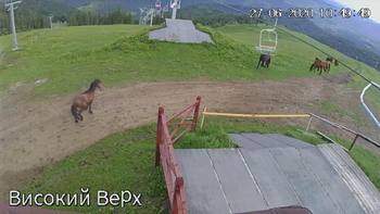 Захар Беркут 27 червня 2020 року, 2020-06-27 10:00