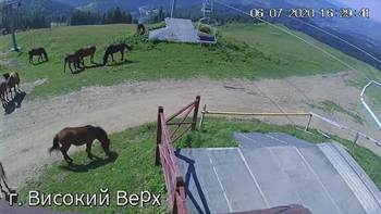Захар Беркут 6 липня 2020 року, 2020-07-06 16:00