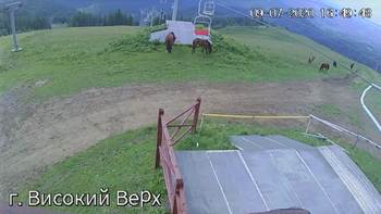 Захар Беркут 9 липня 2020 року, 2020-07-09 16:00