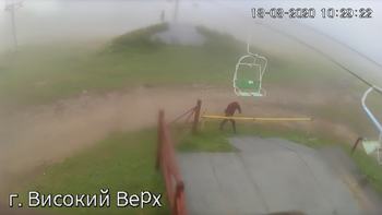 Захар Беркут 18 серпня 2020 року, 2020-08-18 10:00