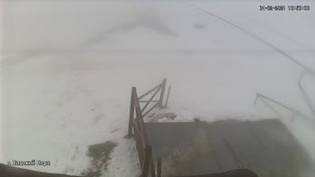 Захар Беркут 4 лютого 2021 року, 2021-02-04 10:00