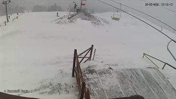 Захар Беркут 8 березня 2021 року, 2021-03-08 13:00