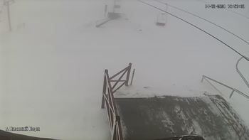 Захар Беркут 14 березня 2021 року, 2021-03-14 16:00