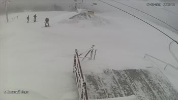 Захар Беркут 17 березня 2021 року, 2021-03-17 13:00