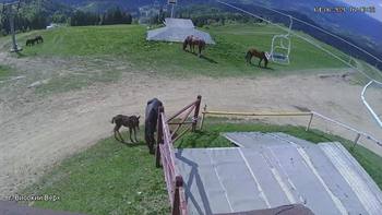 Захар Беркут 4 червня 2021 року, 2021-06-04 16:00