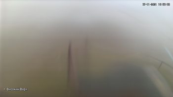 Захар Беркут 7 листопада 2021 року, 2021-11-07 16:00