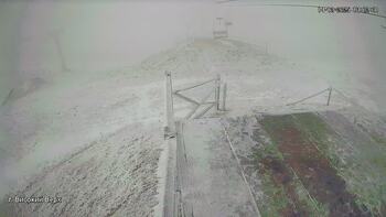 Захар Беркут 14 грудня 2025 року, 2025-12-14 13:00