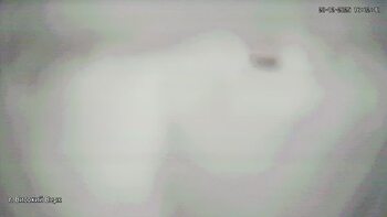 Zachar Berkut 28 grudzień 2025 rok, 2025-12-28 16:00