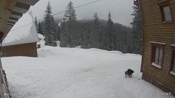 Драгобрат 17 січня 2018 року, 2018-01-17 13:00