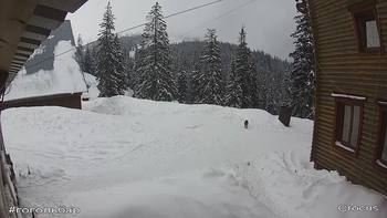 Драгобрат 10 лютого 2018 року, 2018-02-10 13:00