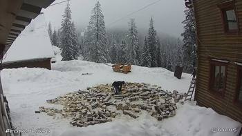 Драгобрат 23 лютого 2018 року, 2018-02-23 16:00