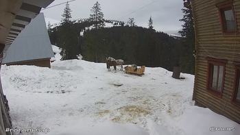 Драгобрат 6 березня 2018 року, 2018-03-06 13:00