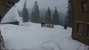 Драгобрат 9 березня 2018 року, 2018-03-09 16:00