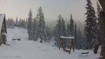 Драгобрат 8 січня 2019 року, 2019-01-08 10:00