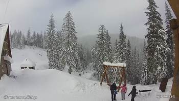 Драгобрат 8 січня 2019 року, 2019-01-08 13:00