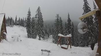 Драгобрат 29 січня 2019 року, 2019-01-29 16:00