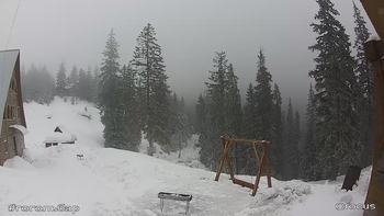 Драгобрат 11 лютого 2019 року, 2019-02-11 10:00
