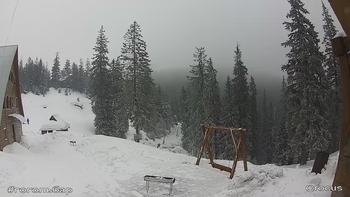 Драгобрат 11 лютого 2019 року, 2019-02-11 13:00