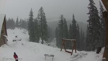 Драгобрат 11 лютого 2019 року, 2019-02-11 16:00