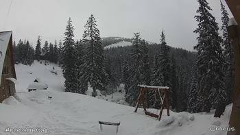Драгобрат 12 лютого 2019 року, 2019-02-12 16:00
