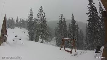 Драгобрат 5 березня 2019 року, 2019-03-05 10:00
